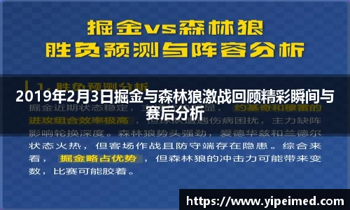 2019年2月3日掘金与森林狼激战回顾精彩瞬间与赛后分析